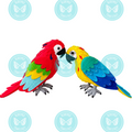 Guacamaya